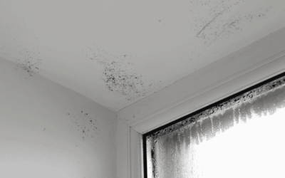 Can Air Con Reduce Condensation and Damp in Winter?